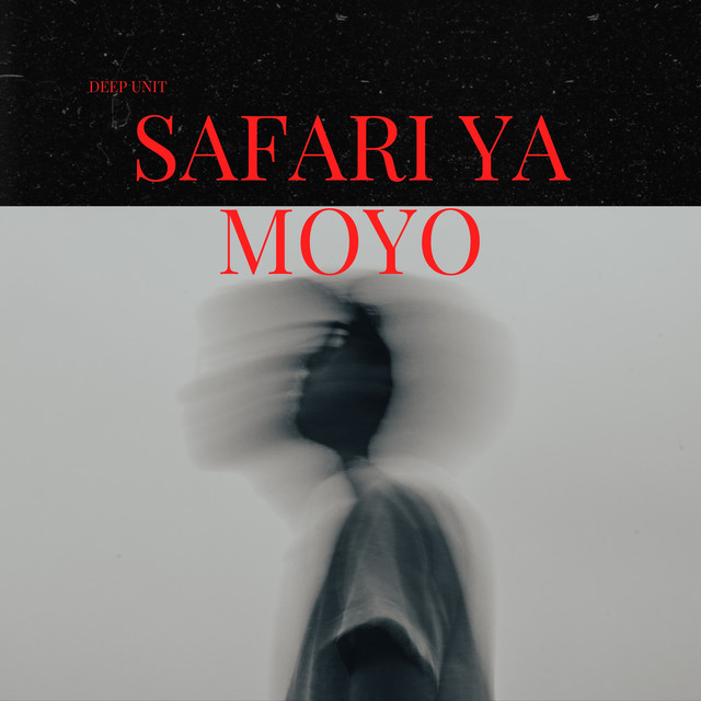 Εξώφυλλο: Safari ya Moyo